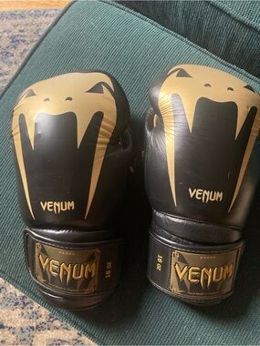 16 oz Elite Leather Boxing Gloves